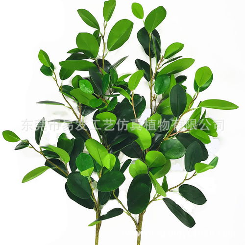 防城港仿真绿植厂 以仿真植物工艺品点亮生活艺术