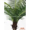 东莞市聚春仿真植物工艺品